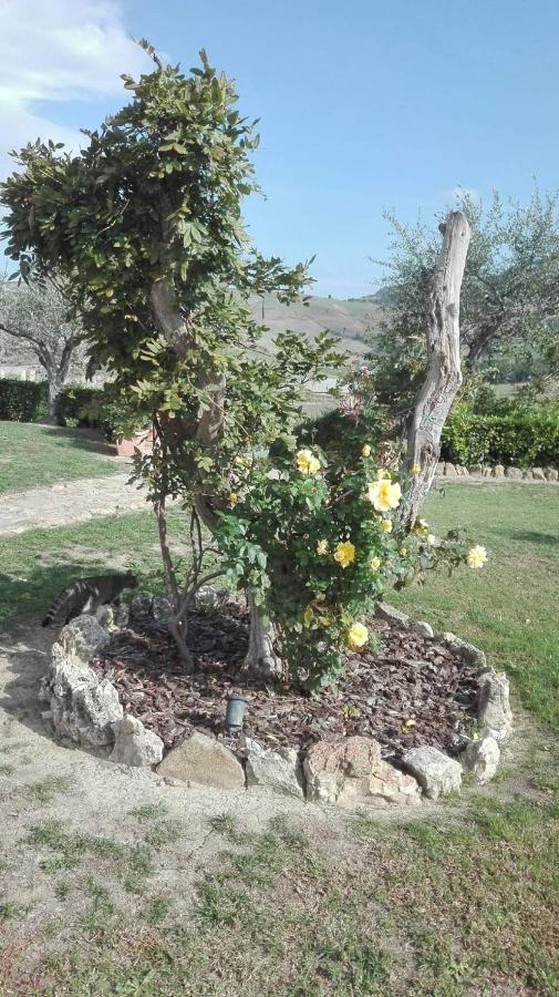 וולטרה Agriturismo Casa Al Povero מראה חיצוני תמונה
